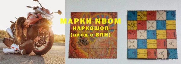 стаф Нефтекумск
