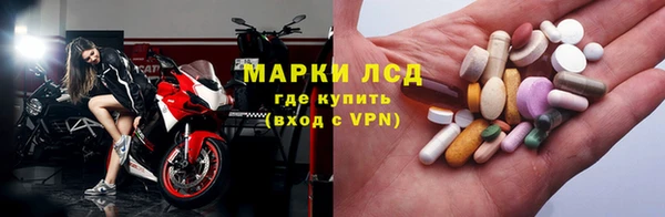стаф Нефтекумск