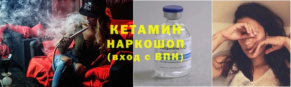 дмт Богданович