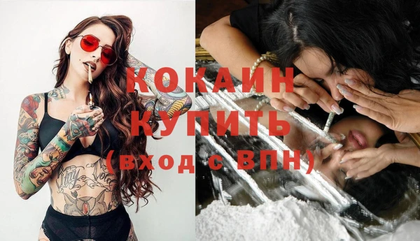 винт Нея
