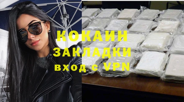 индика Новозыбков