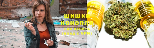 винт Нея