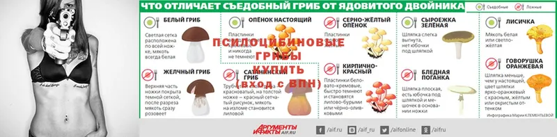 Галлюциногенные грибы мицелий  Кирс 